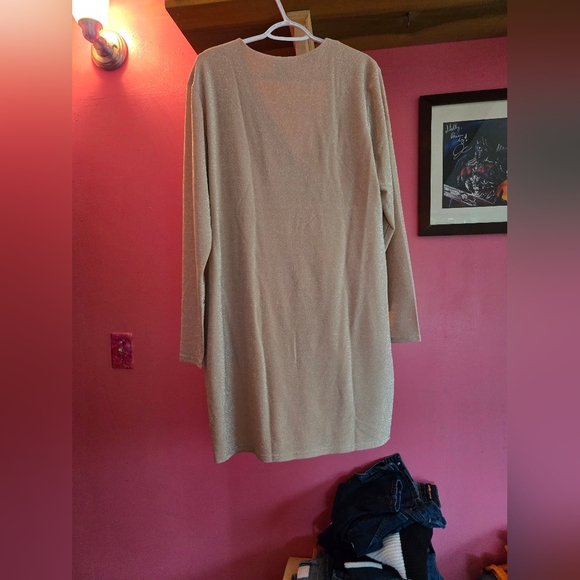 Aldi Find Serra long sleeve pink sparkle dress. XL - Picture 2 of 3